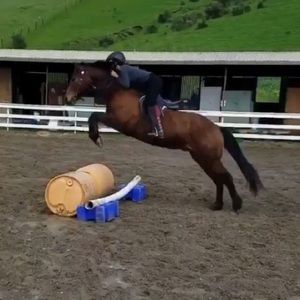 Meet your Posher, Lachlan